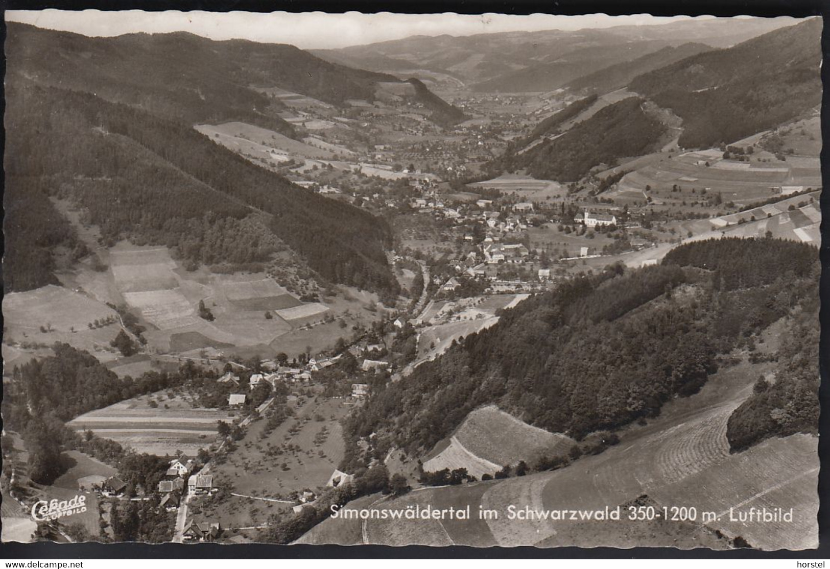 D-79263 Simonswald - Schwarzwald - Simonswäldertal - Cekade Luftbild - Aerial View - Old Stamp "animal" - Emmendingen