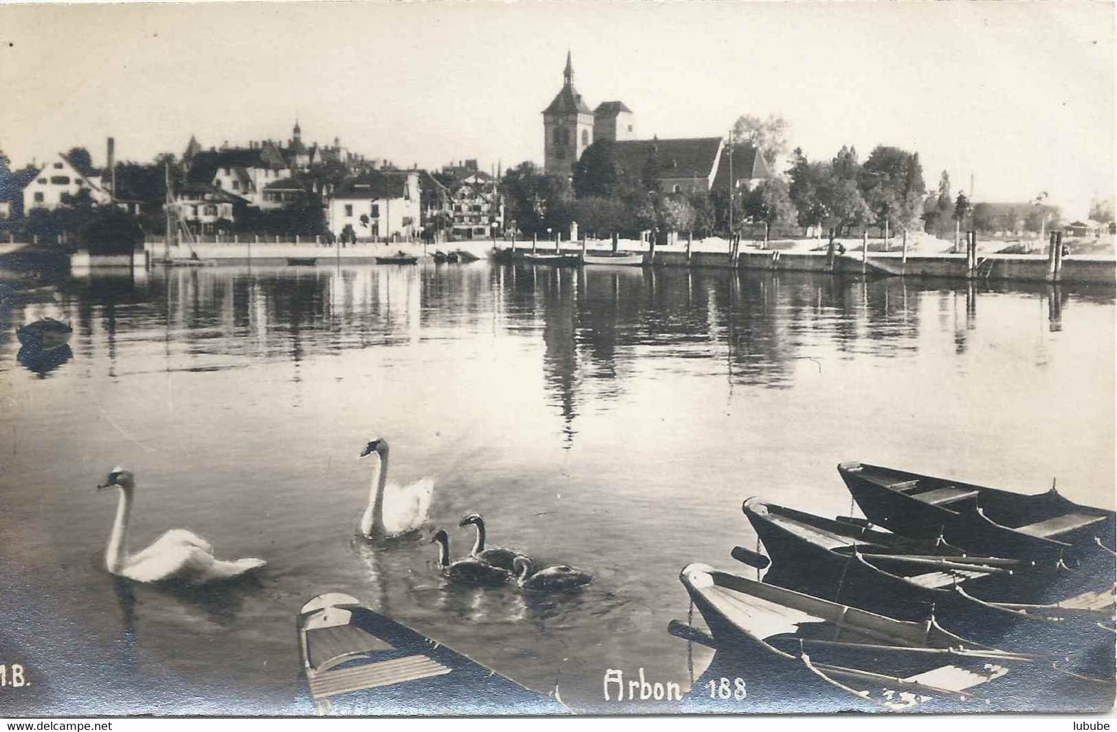 Arbon - Idyll Mit Schwänen         Ca. 1920 - Arbon