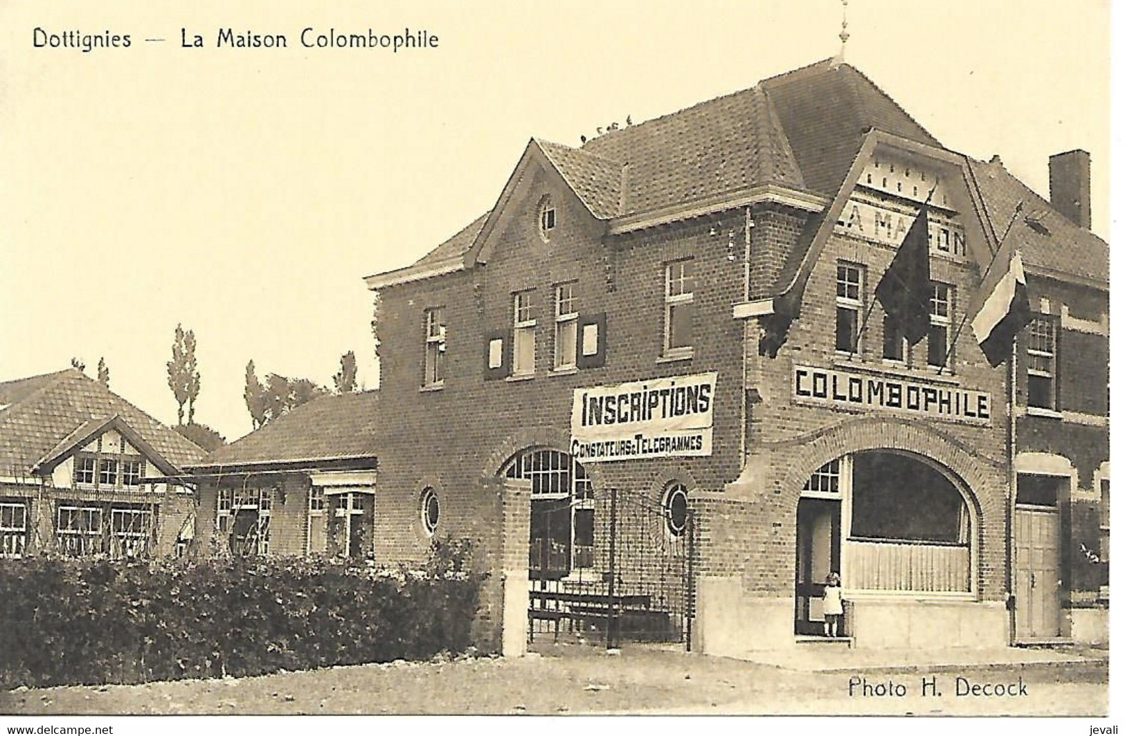 CPA/PK/AK  -  DOTTIGNIES  La Maison Colombophile - Mouscron - Moeskroen