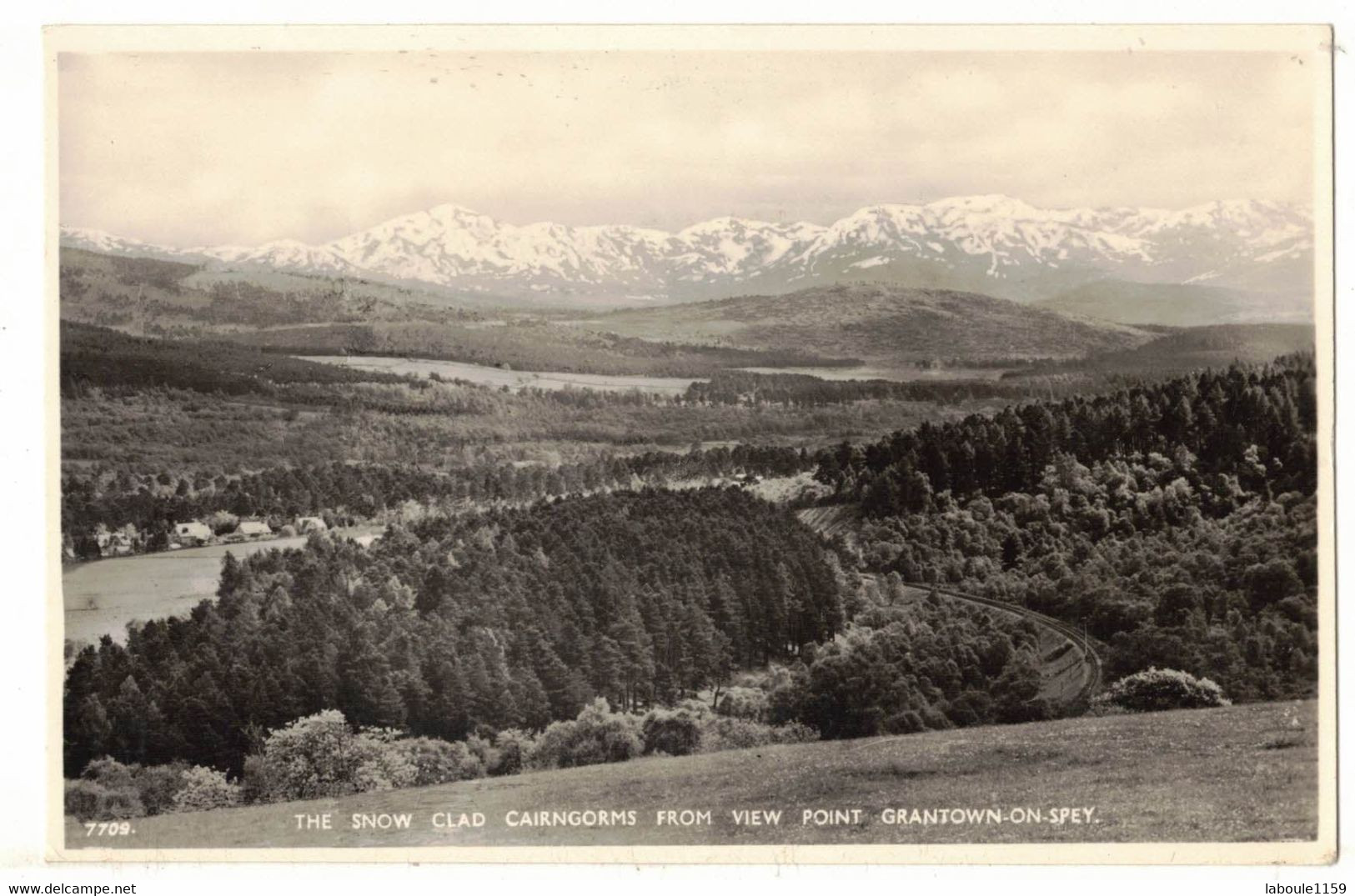 ROYAUME UNI ECOSSE MORAY GRANTOWN ON SPEY : THE SNOW CLAD CAIRNGORMS FROM VIEW POINT - CARTE PHOTO GLACEE WHITE DUNDEE - Moray