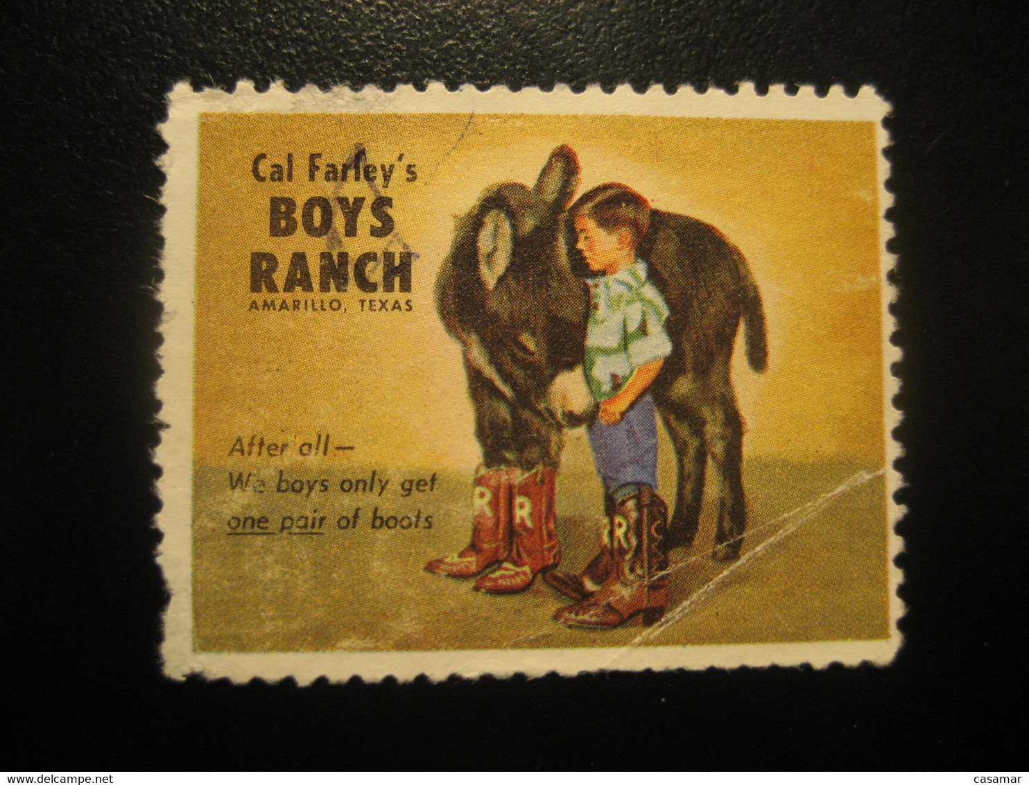 AMARILLO Texas Donkey Ane Poster Stamp Vignette Boys Ranch USA Label - Anes