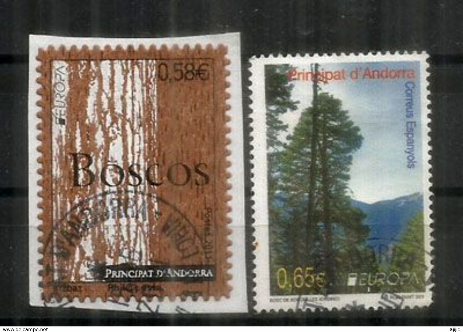 ANDORRE. EUROPA 2011 .Protection Des Forêts, 2 Timbres Oblitérés Andorre, 1 ère Qualité (timbre En Bois) - Gebraucht