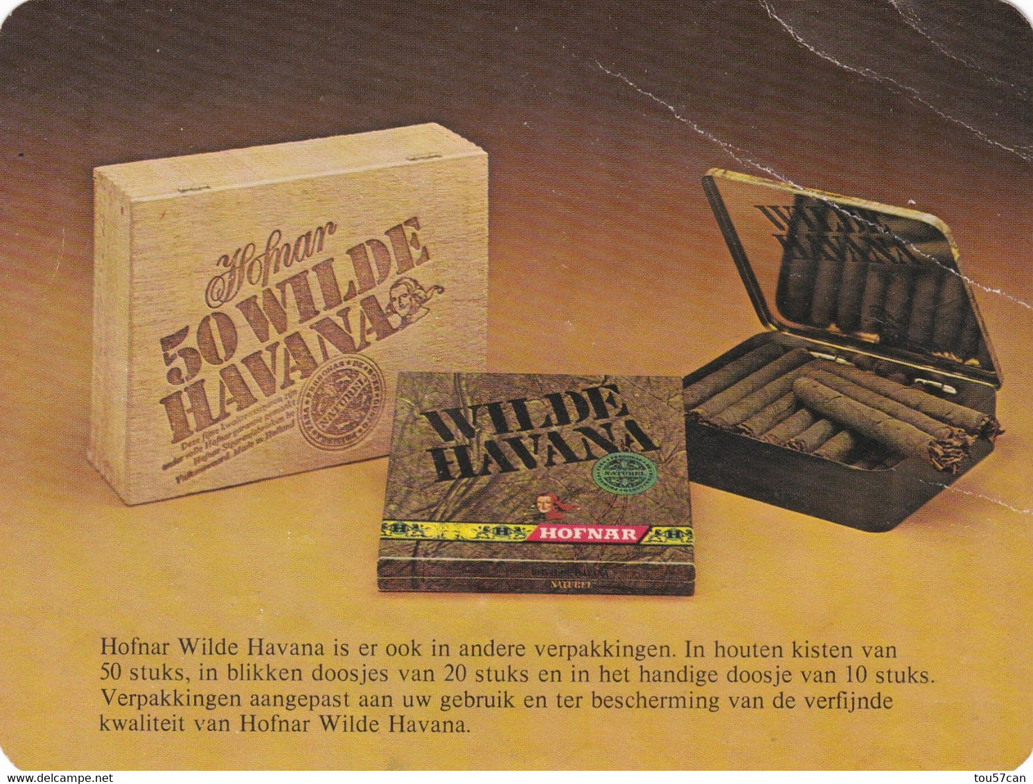 WILDE HAVANA - PUBLICITE CIGARES. - Etichette