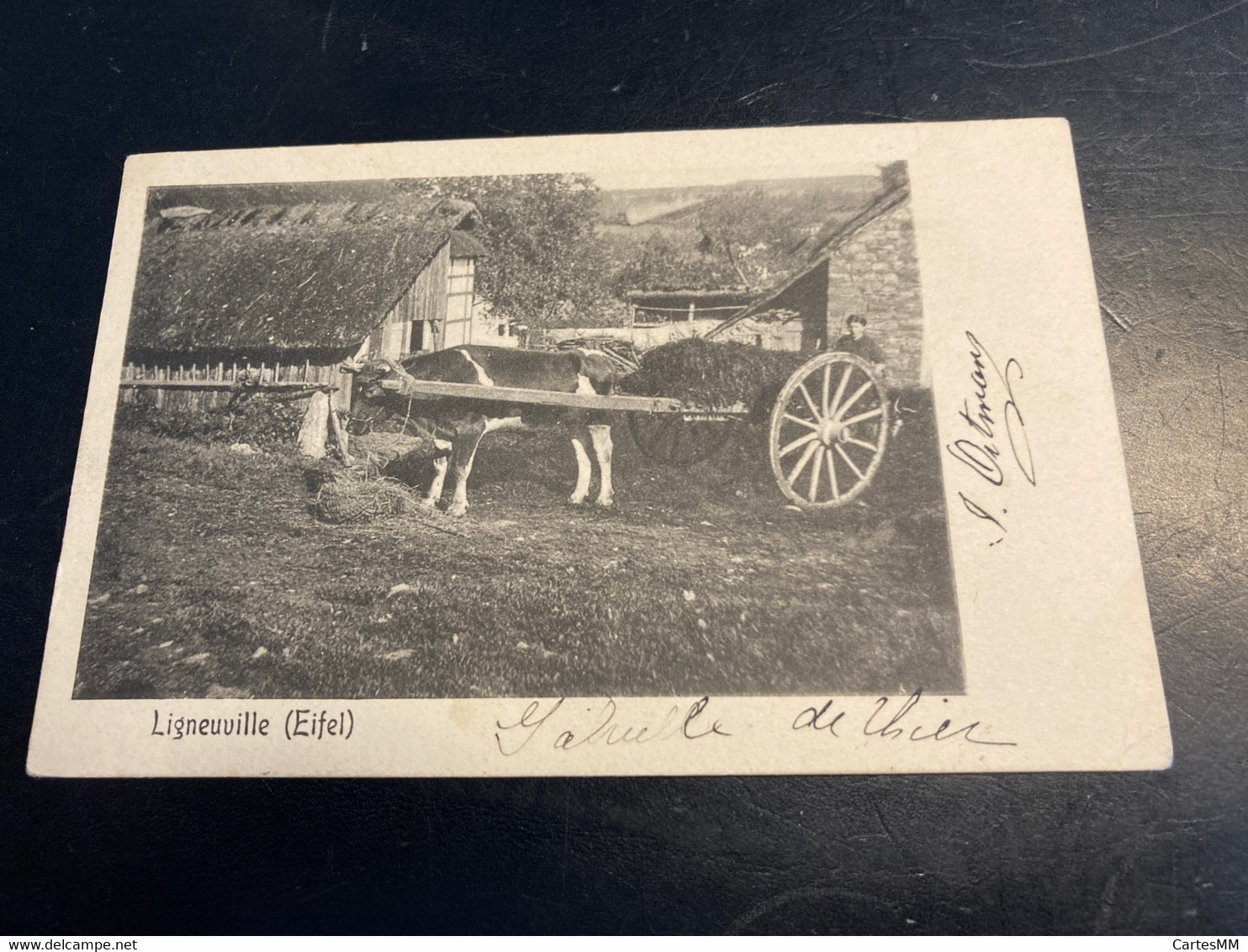 Malmedy Ligneuville Engelsdorf Char à Bœuf Vers 1905 - Malmedy