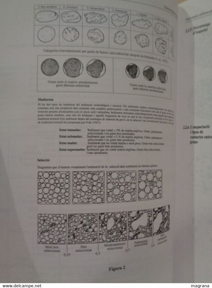 Petrologia Sedimentària De Les Roques Detrítiques. Manual De Pràctiques De Laboratori. David Gómez-Gras. 1999. - Praktisch