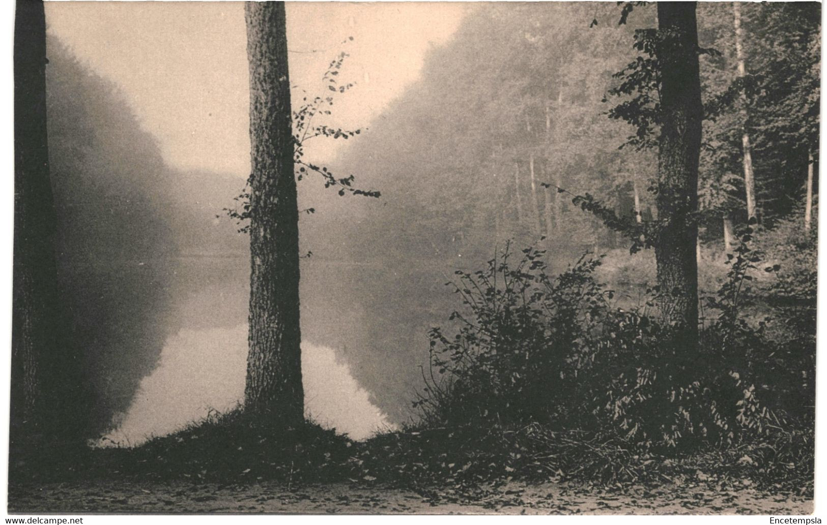 CPA  Carte Postale Belgique-Bruxelles Forêt De Soignes Groenendael Etang Des Pêcheurs      VM48847 - Forêts, Parcs, Jardins