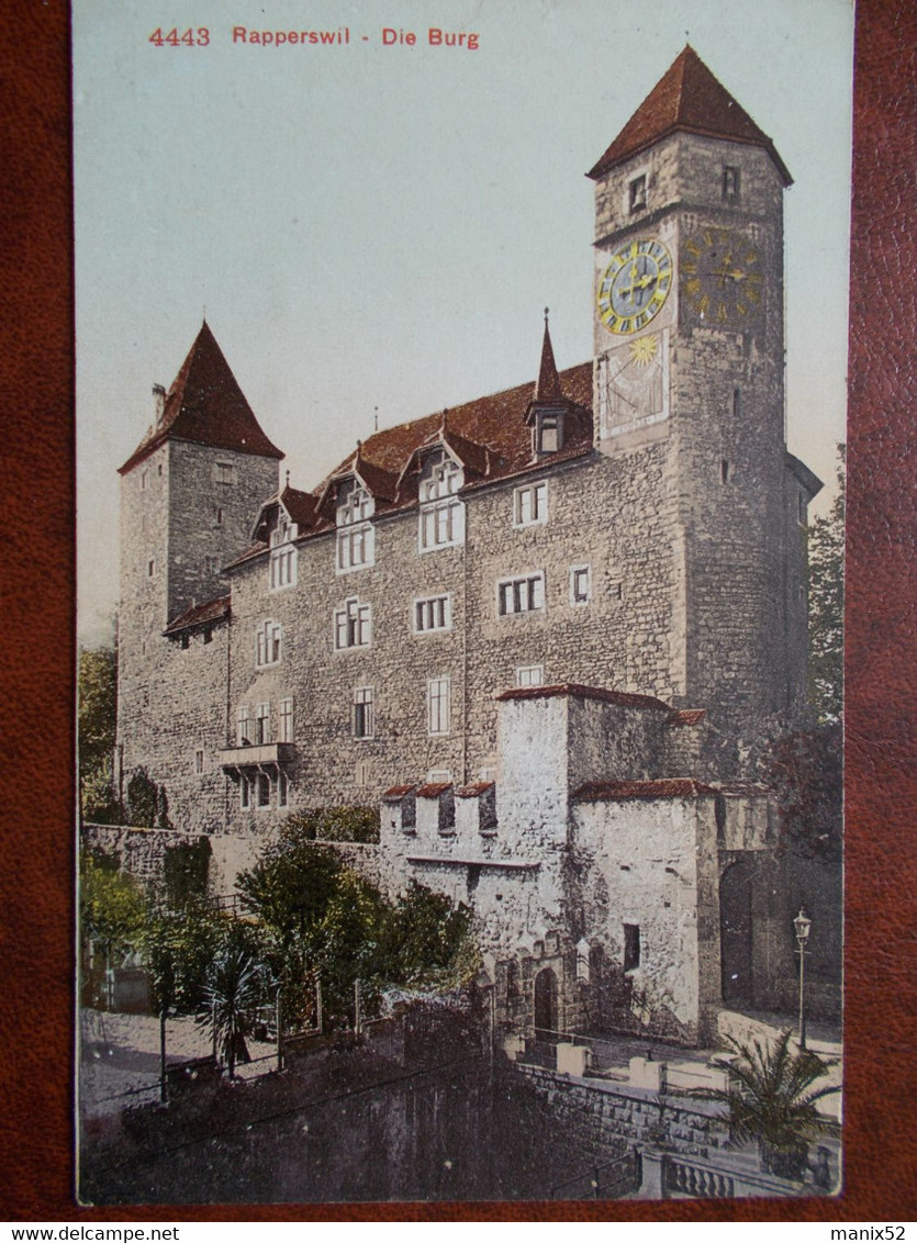 SUISSE - RAPPERSWIL - Die Burg. - Rapperswil