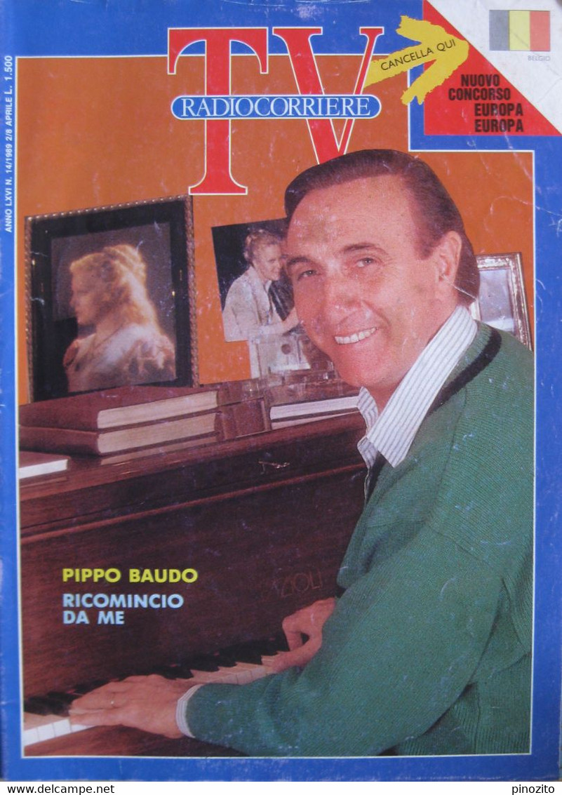 RADIOCORRIERE TV 14 1989 Pippo Baudo Michele Placido Giuliana De Sio Vincent Irizarry Frank Sinatra Liza Minnelli - TV