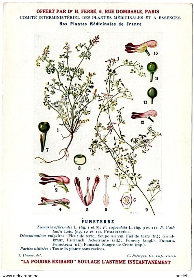 Plantes Médicinales 5 Planches Fumeterre Genet Houblon Bardane Guimauve Publicité Exibard 1920 TB état - Medicinal Plants