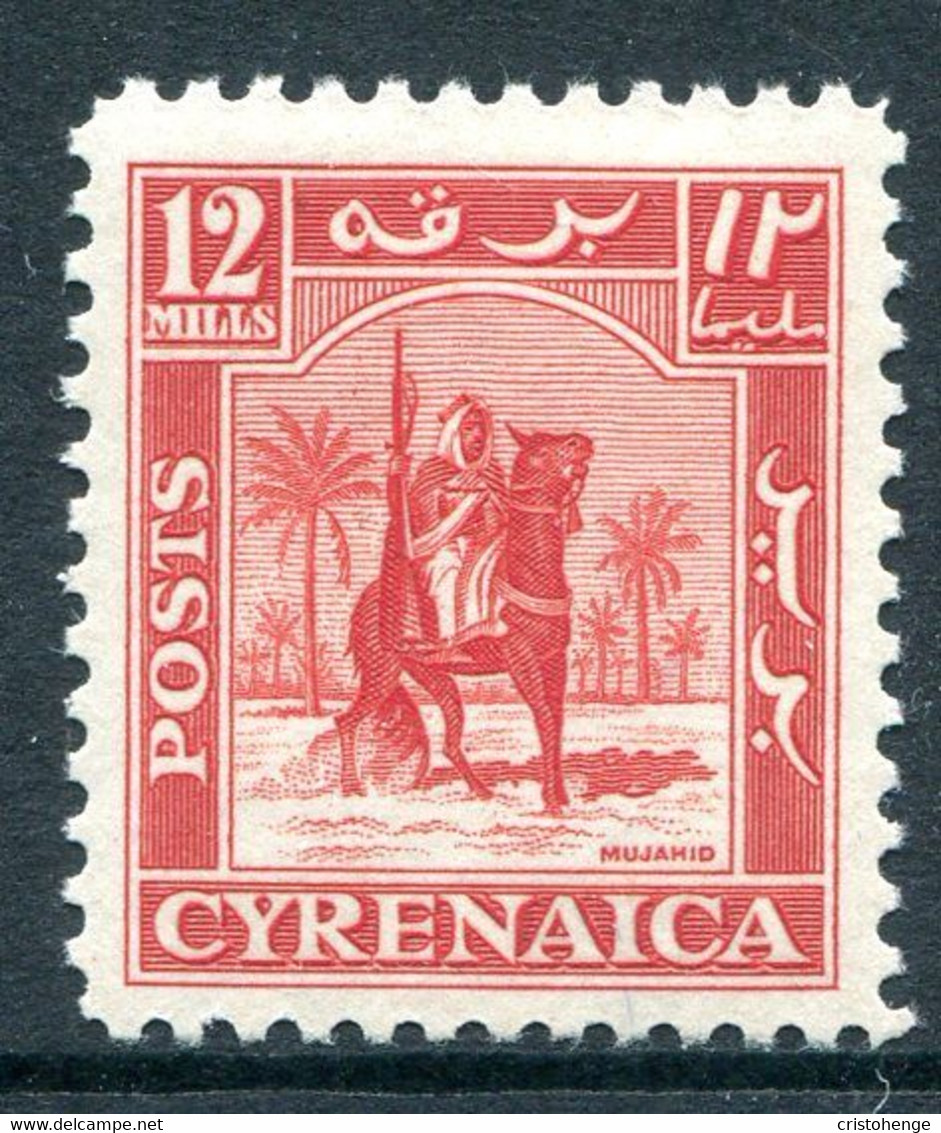 British Occ. Italian Colonies - Cyrenacia - 1950 Mounted Warrior - 12m Scarlet LHM (SG 143) - Cirenaica