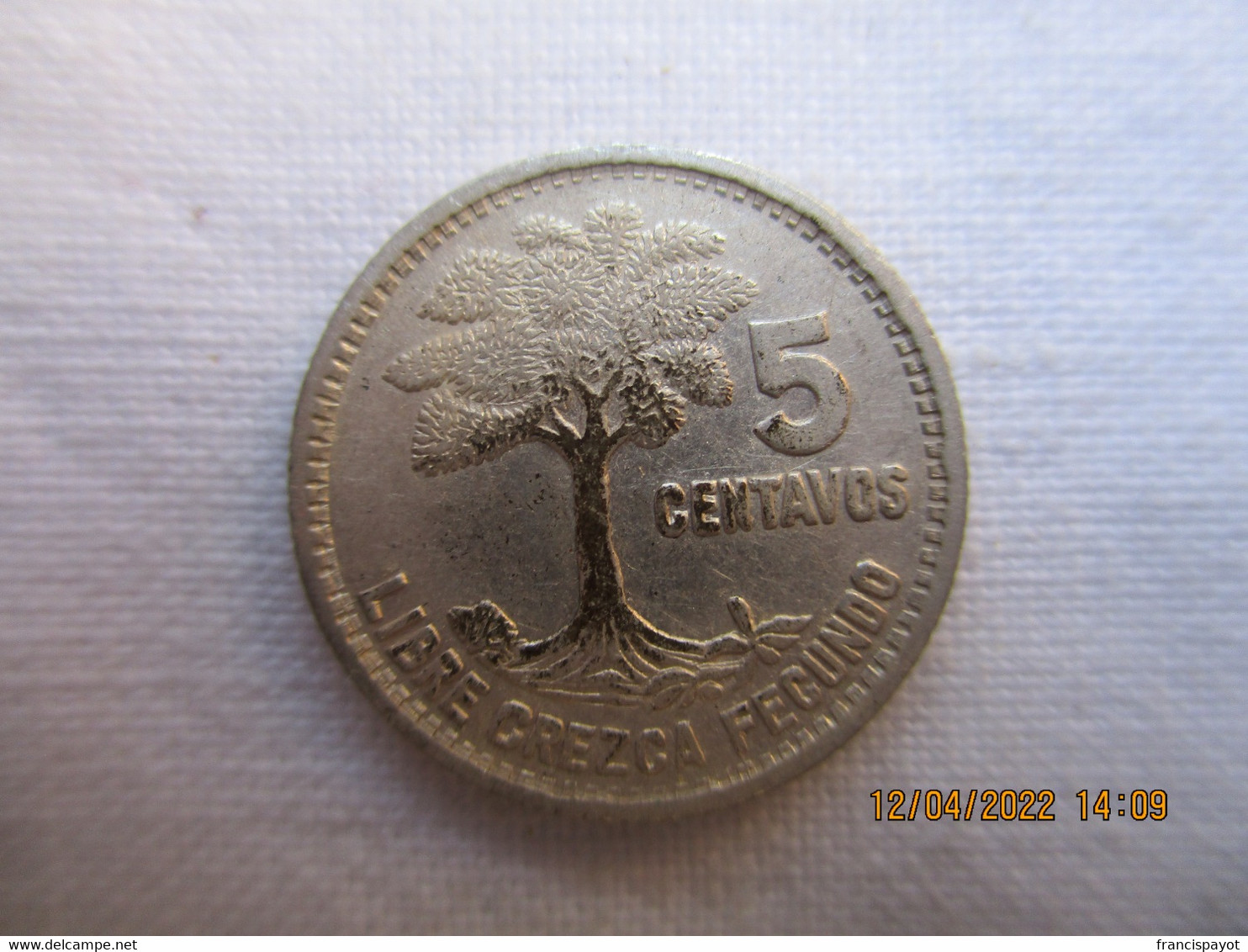 Guatemala: 5 Centavos 1956 - Guatemala