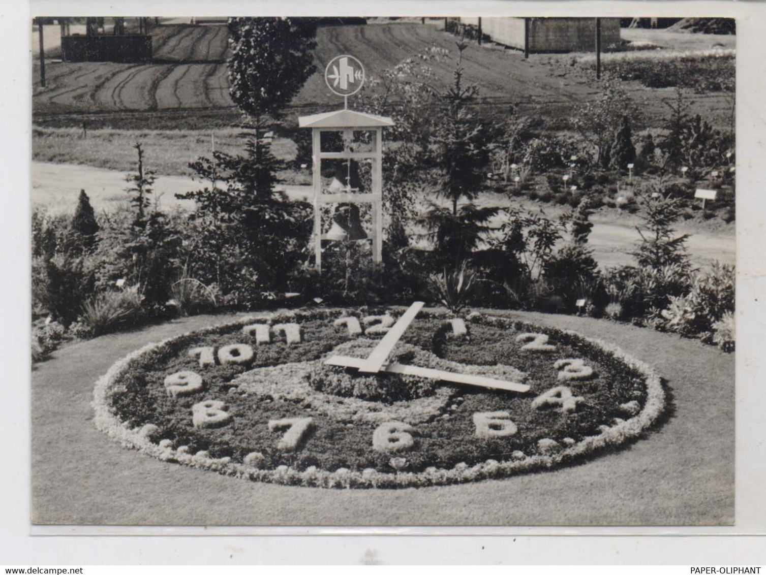 2200 ELMSHORN, Schaugarten Fa. Hartmann & Co., Blumenuhr - Elmshorn