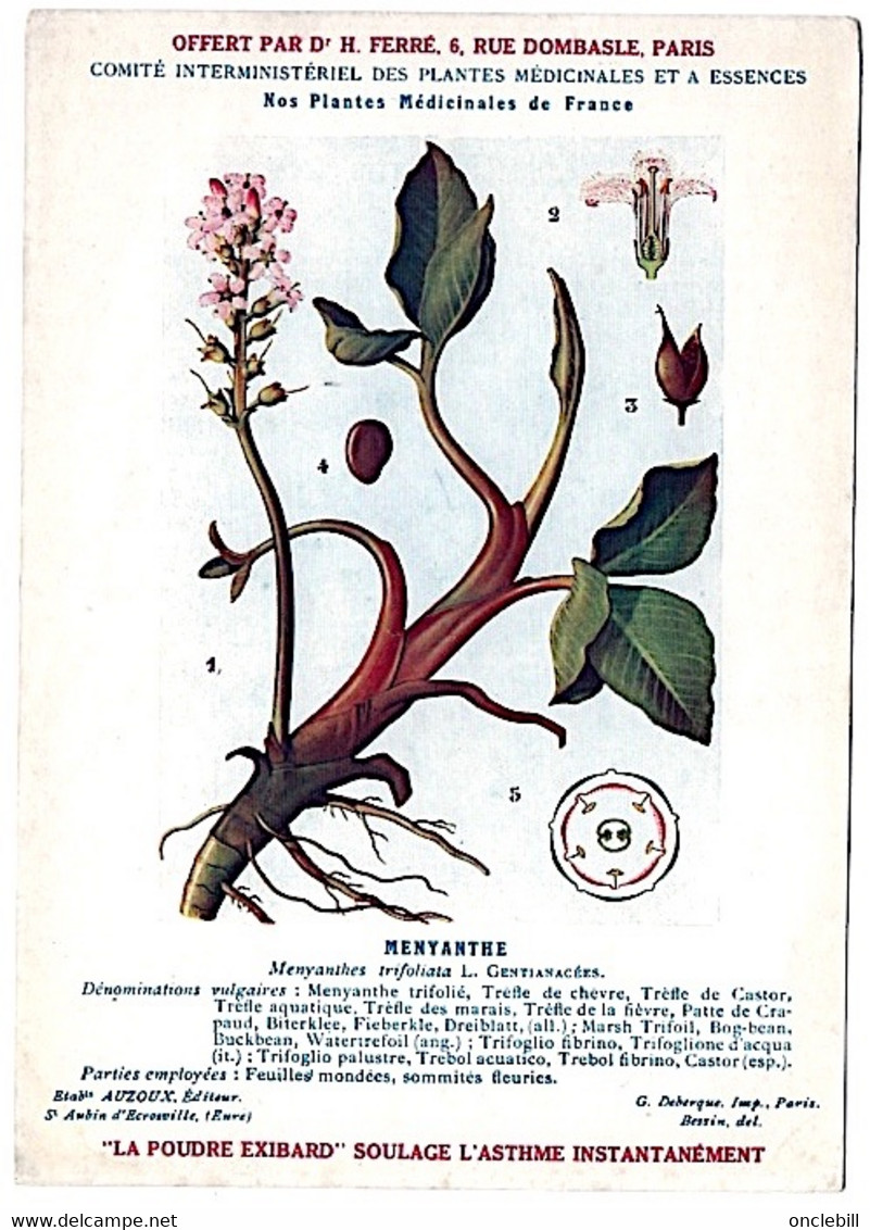 Plantes Médicinales 5 Planches Menyhante Mercuriale Morelle Muguet Neprun Publicité Exibard 1920 Très Bon état - Medicinal Plants