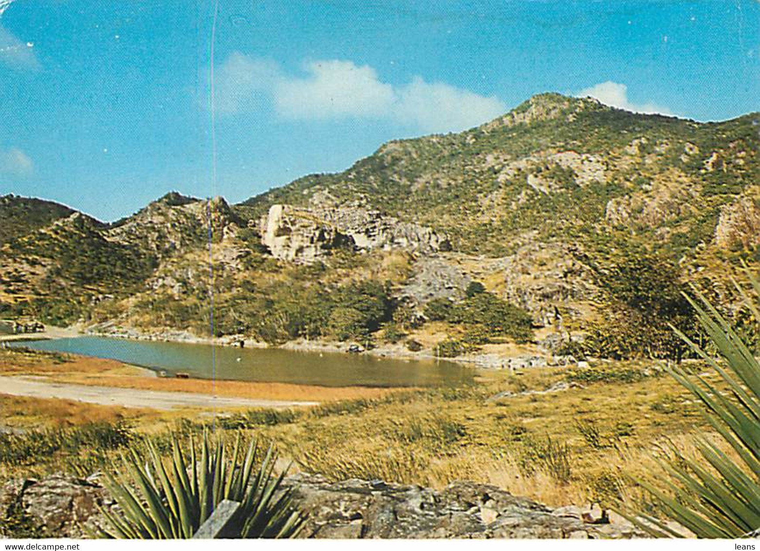 SAINT BARTHELEMY - Vue Sur Salines - 7351 - Saint Barthelemy