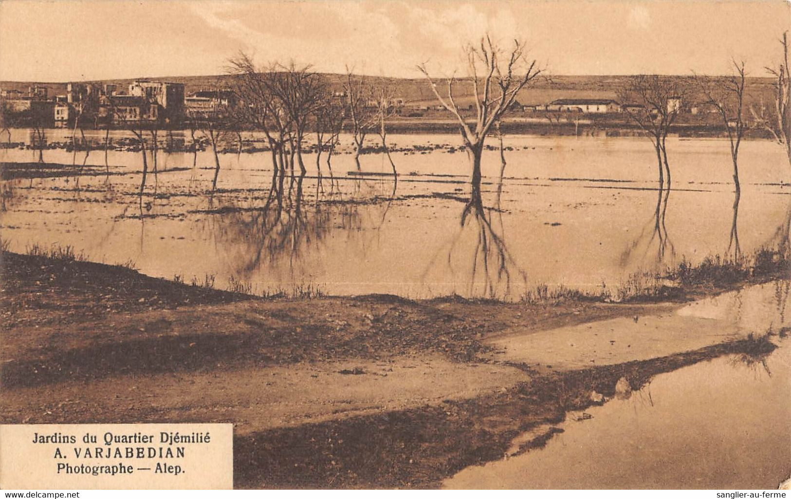 CPA ASIE SYRIE JARDINS DU QUARTIER DJEMILIE A.VARJABEDIAN SOUVENIR DE L'INONDATION D'ALEP 1922 - Syrien