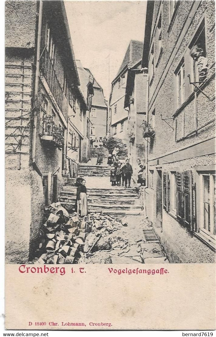 Allemagne   Kronberg  -  - Cronberg -  Vogelgefanggaffe - Kronberg