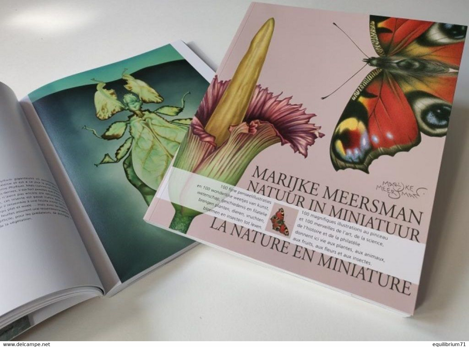 Marijke Meersman - Livre** - Nature En Miniature / Boek** - Natuur In Miniatuur / Buch** - Natur In Miniatur - Thema's