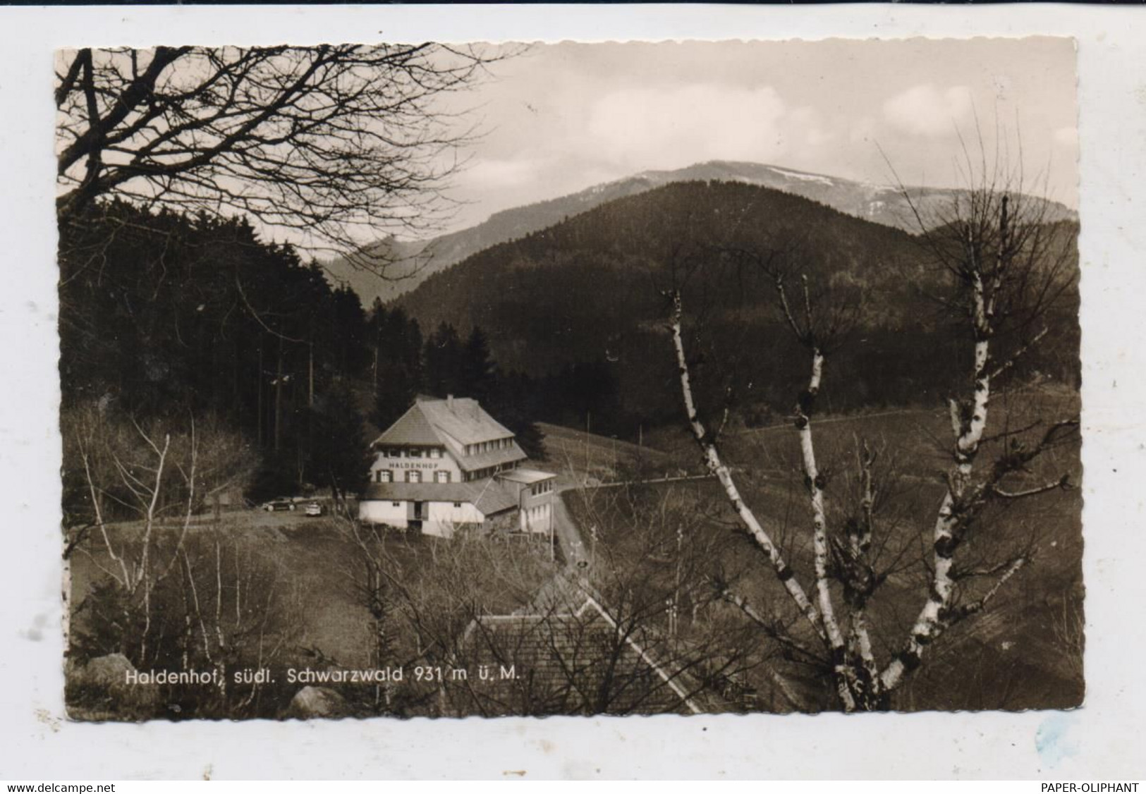 7881 NEUENWEG, Gasthaus Und Pension Haldenhof, 50er Jahre - Lörrach