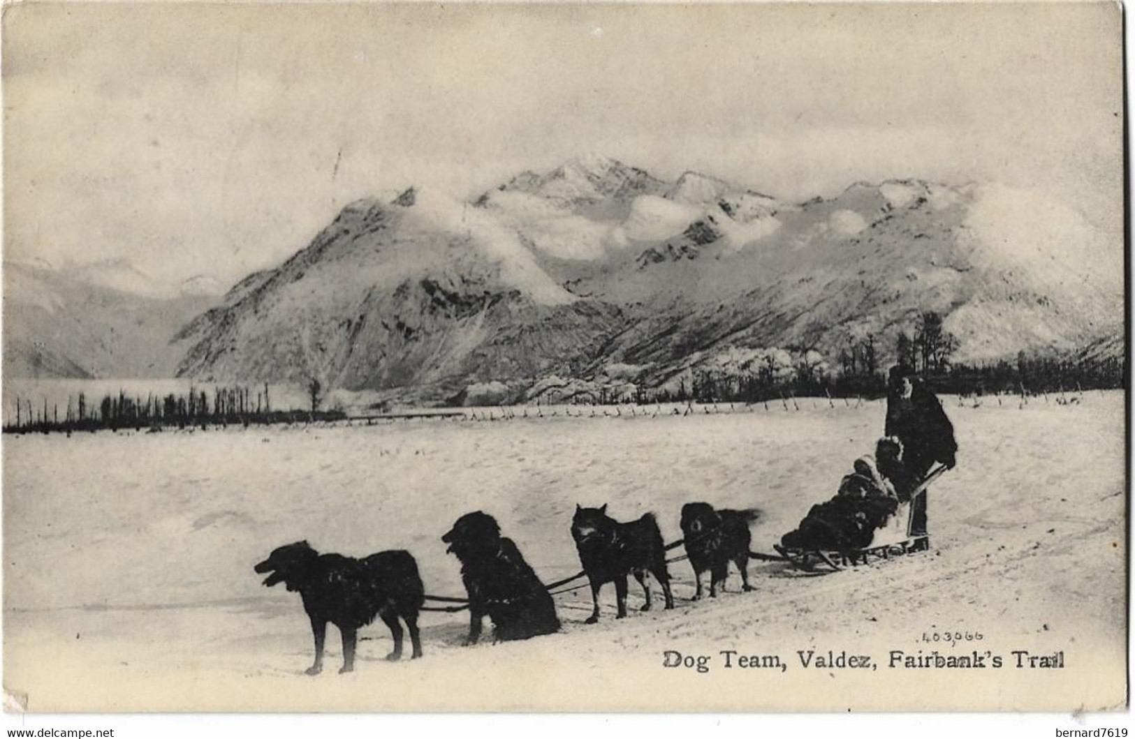 Etats -unis  -  Alaska   -  Dog  Team , Valdez , Fairbank 's  Trail - Fairbanks