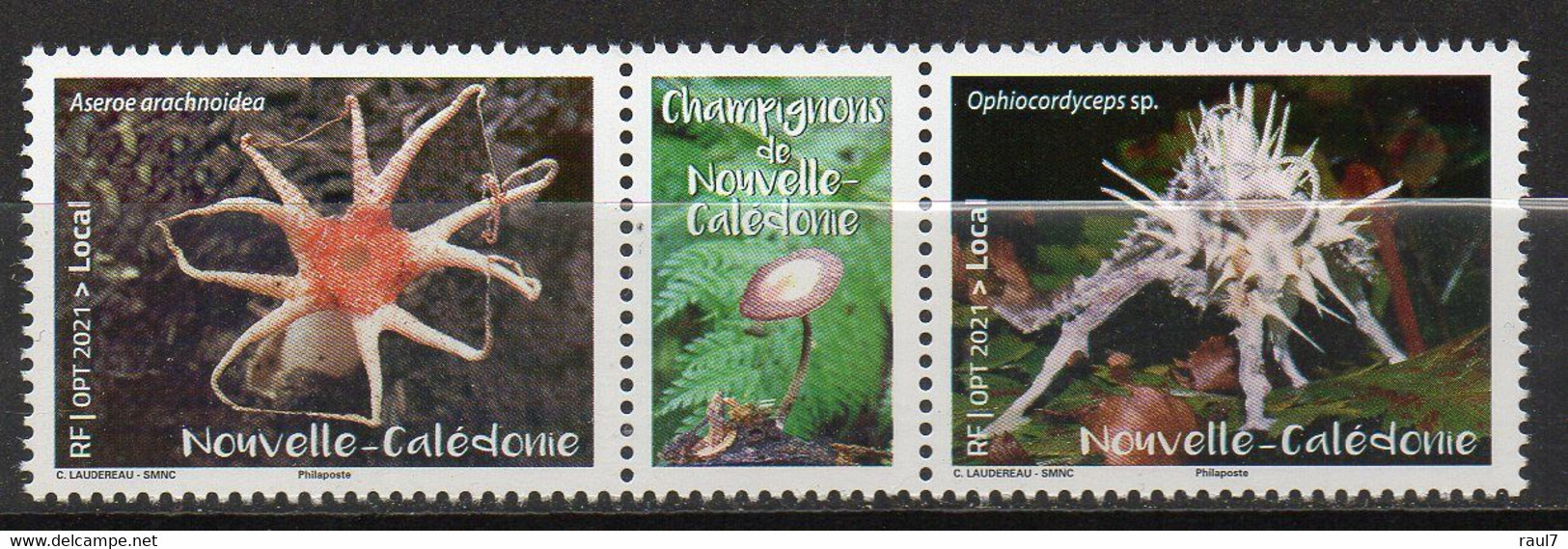 Nouvelle-Calédonie 2021 - Champignons - 2 Val Neuf // Mnh - Nuevos