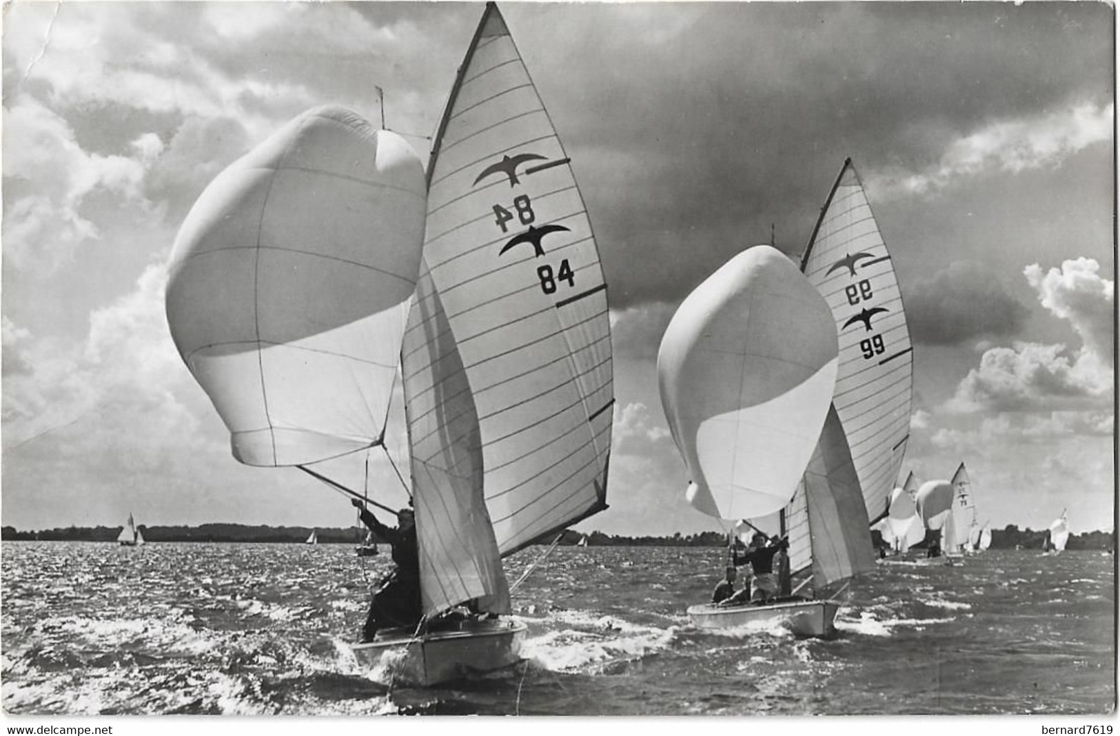 Pays Bas  -       Breukelen  -      Jachhaven De Opbouw  Singels   -    Valken Op Het Spinnakerrak - Cachet   Bewegend - Breukelen