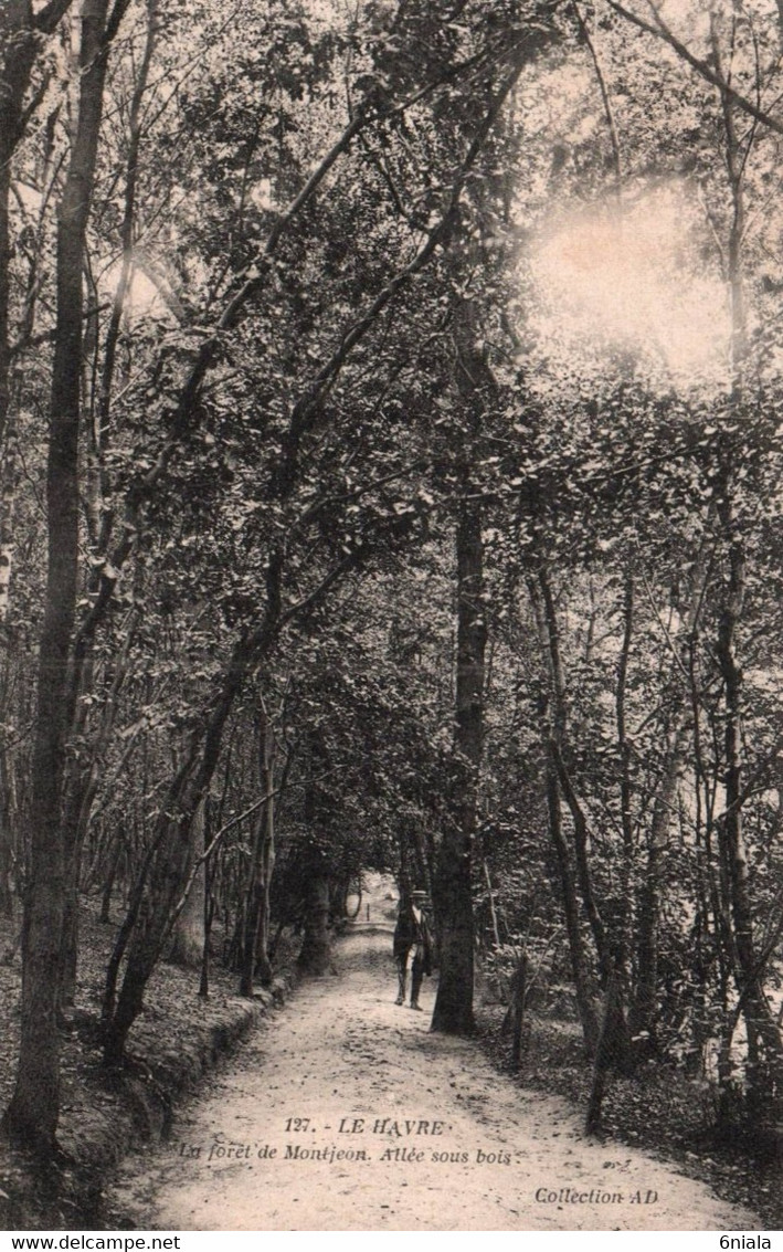 10358 LE HAVRE Foret De Monjéon  Allée Sous Bois     ( Recto-verso) 76 Seine Maritime - Forêt De Montgeon