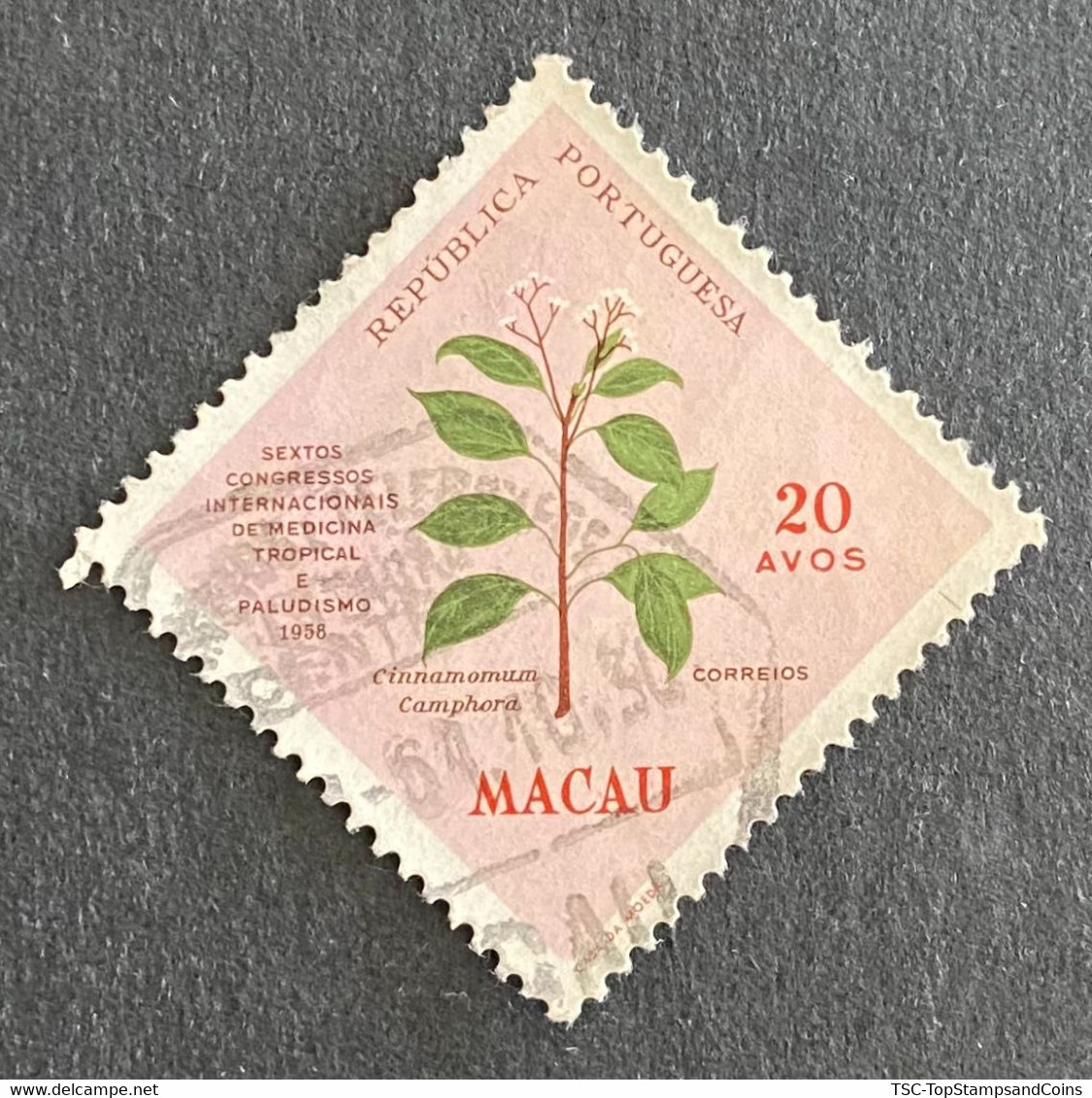 MAC5395U - 6th Int. Congress Of Tropical Medicine And Malaria - 20 Avos Used Stamp - Macau - 1958 - Used Stamps