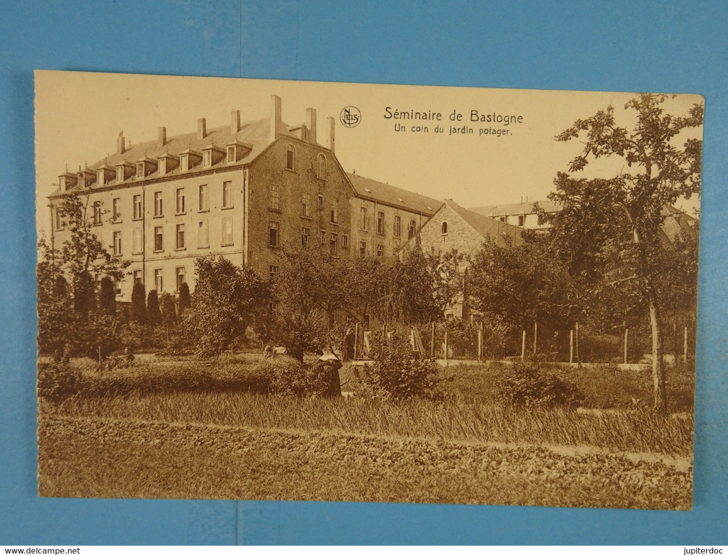 Séminaire De Bastogne Un Coin Du Jardin Potager - Bastogne