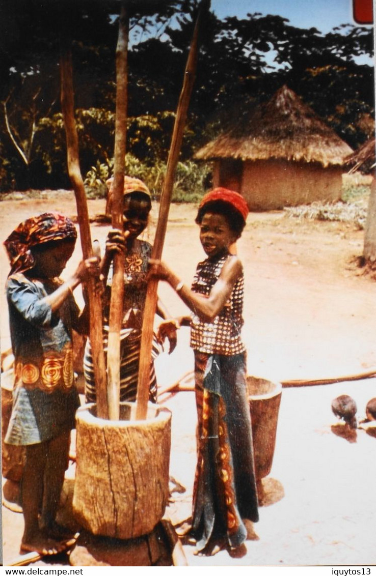 4 Photos Couleurs > Repro. > Afrique > Côte D'Ivoire - TBE - Afrika