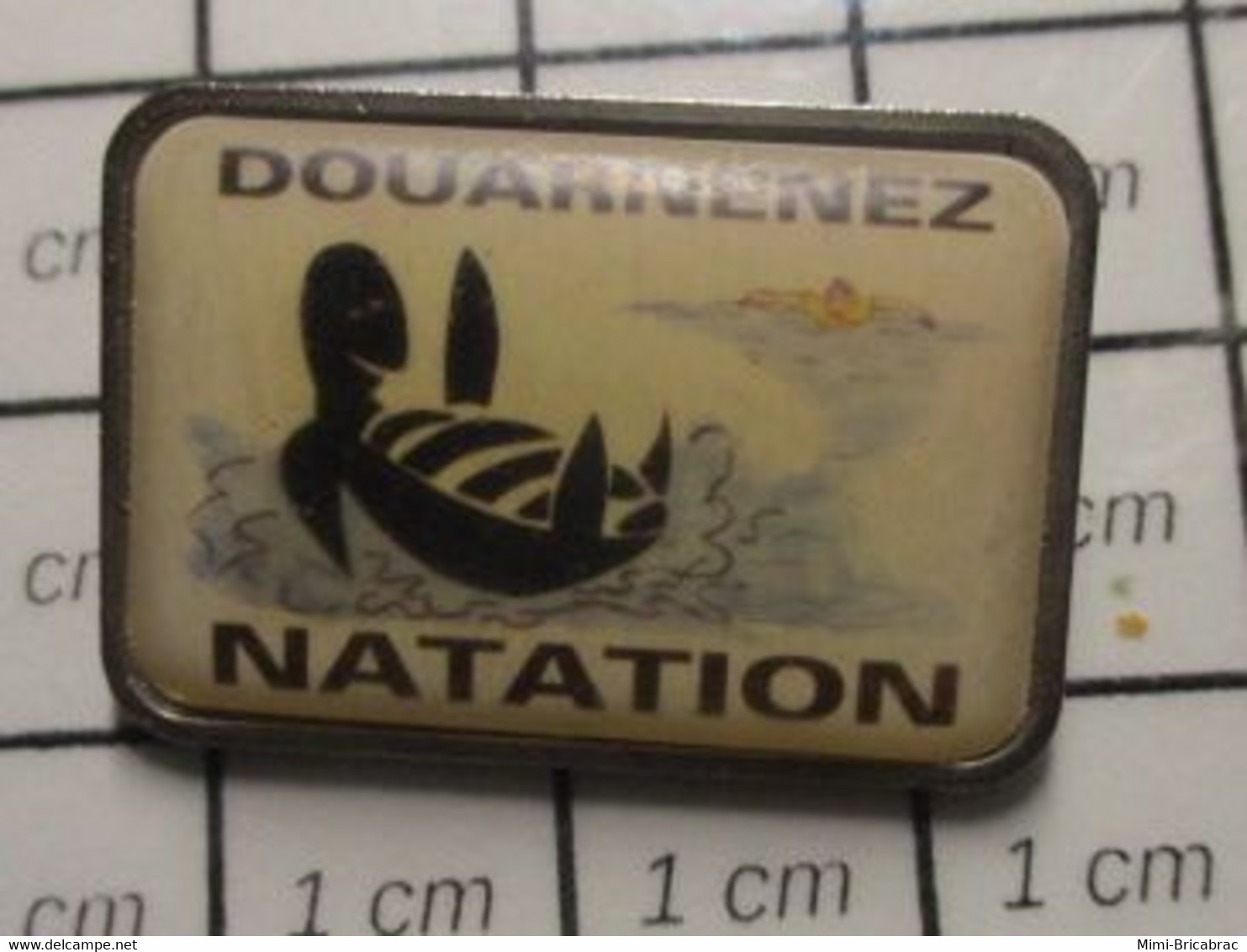 3317 Pin's Pins / Beau Et Rare / THEME : SPORTS / NATATION CLUB DOUARNENEZ TORTUE SUR LE DOS - Schwimmen