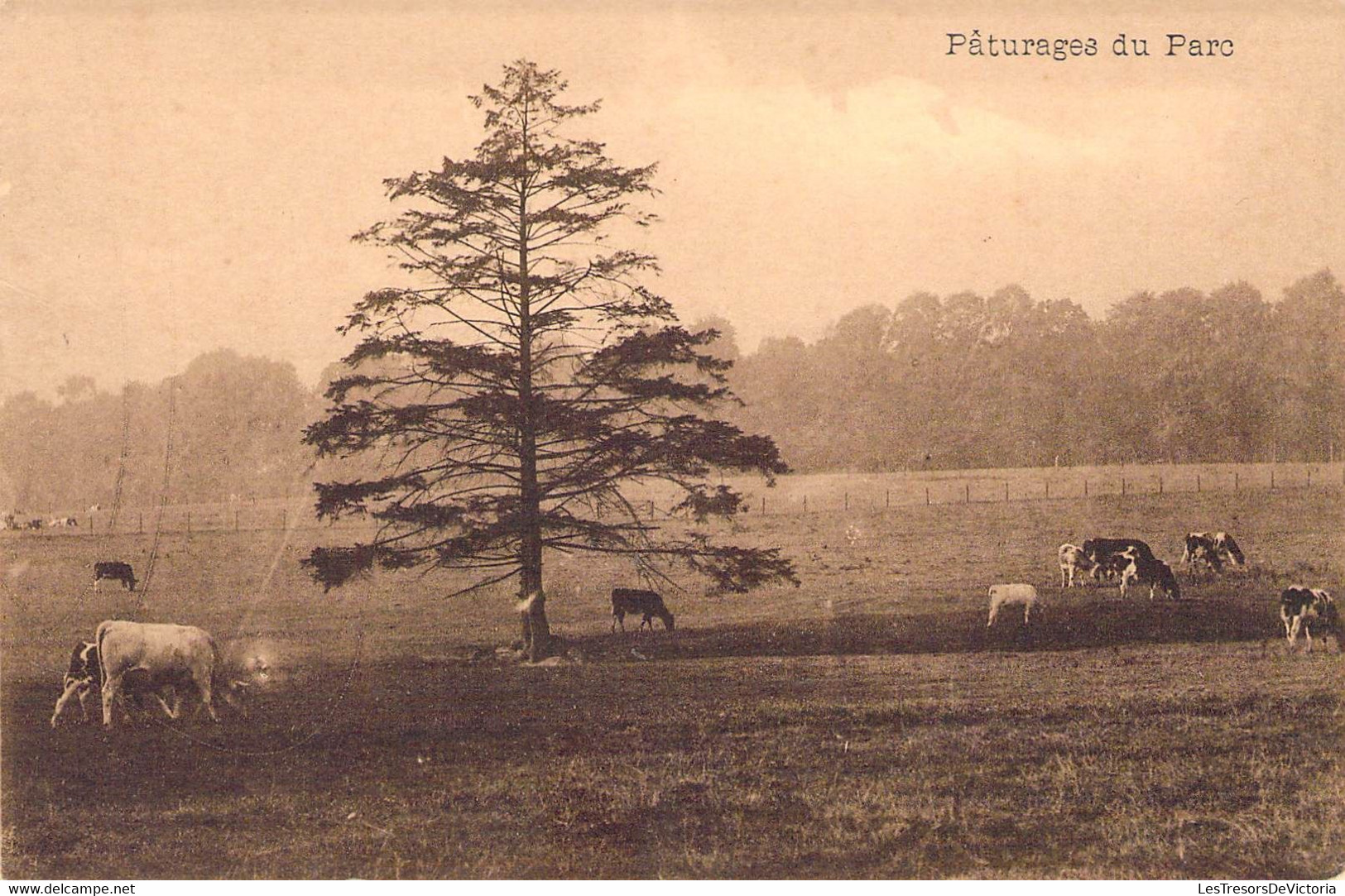 CPA Le Chateau Des Viviers - Le Roeulx - Paturages Du Parc - Le Roeulx