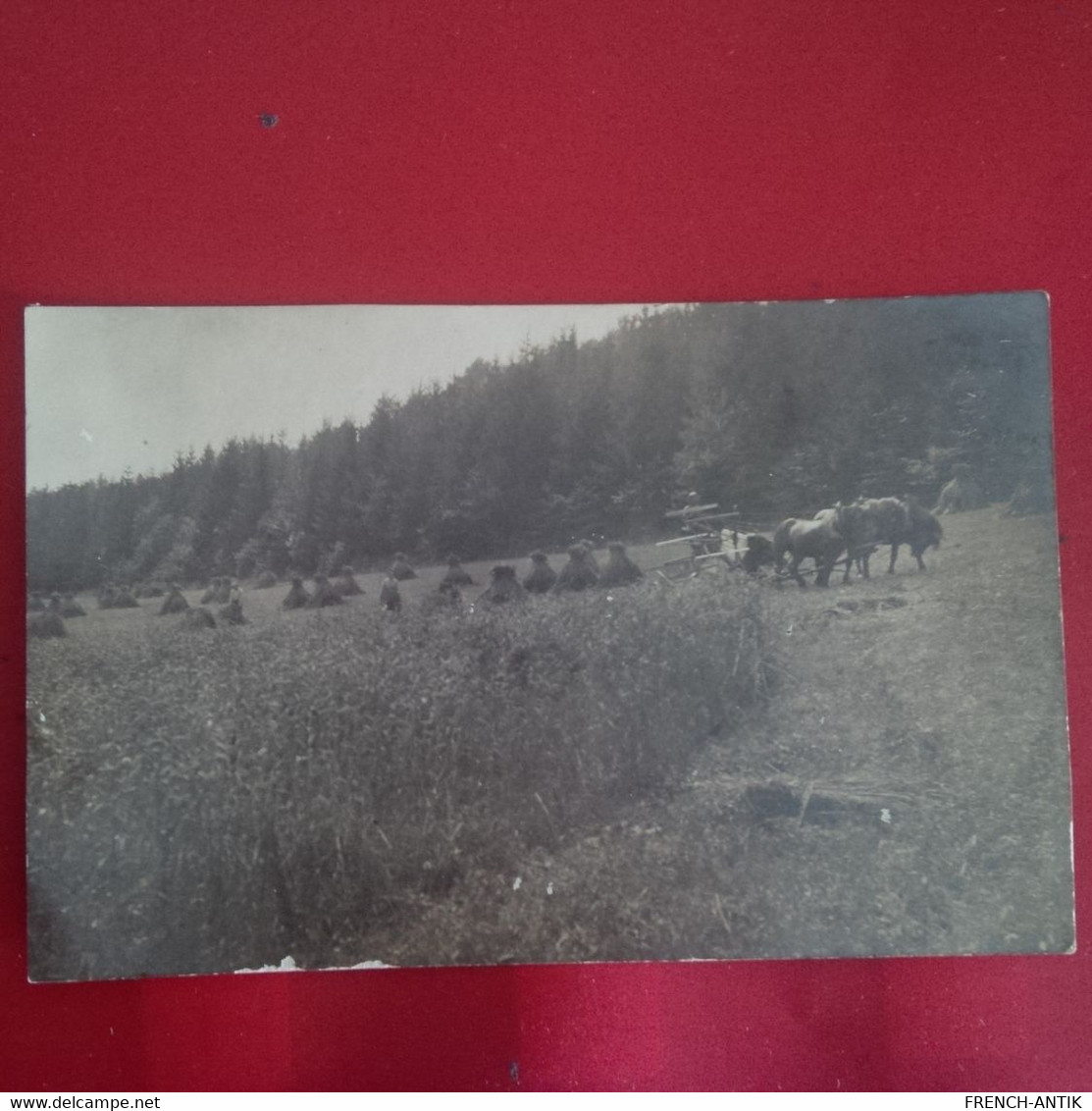 CARTE PHOTO MOISSON PAYSANS MACHINE AGRICOLE ATTELAGE DE CHEVAUX - Paysans