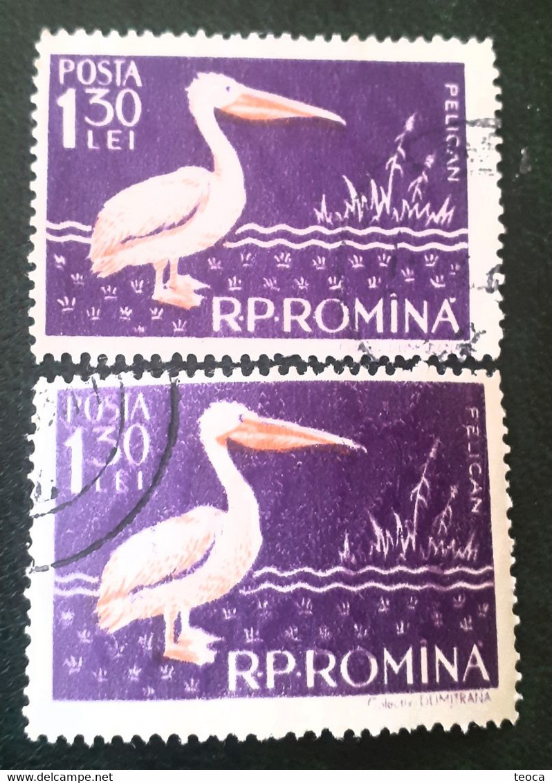 Birds Pelicans Errors Stamps Romania 1957 # Mi 1691, Birds Printed Wirh Broken Letters From PELICAN - Abarten Und Kuriositäten