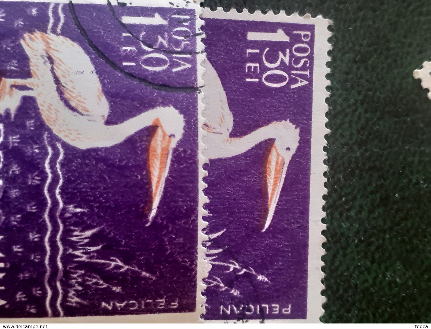 Birds Pelicans Errors Stamps Romania 1957 # Mi 1691, Birds Printed Wirh Broken Letters From PELICAN - Plaatfouten En Curiosa