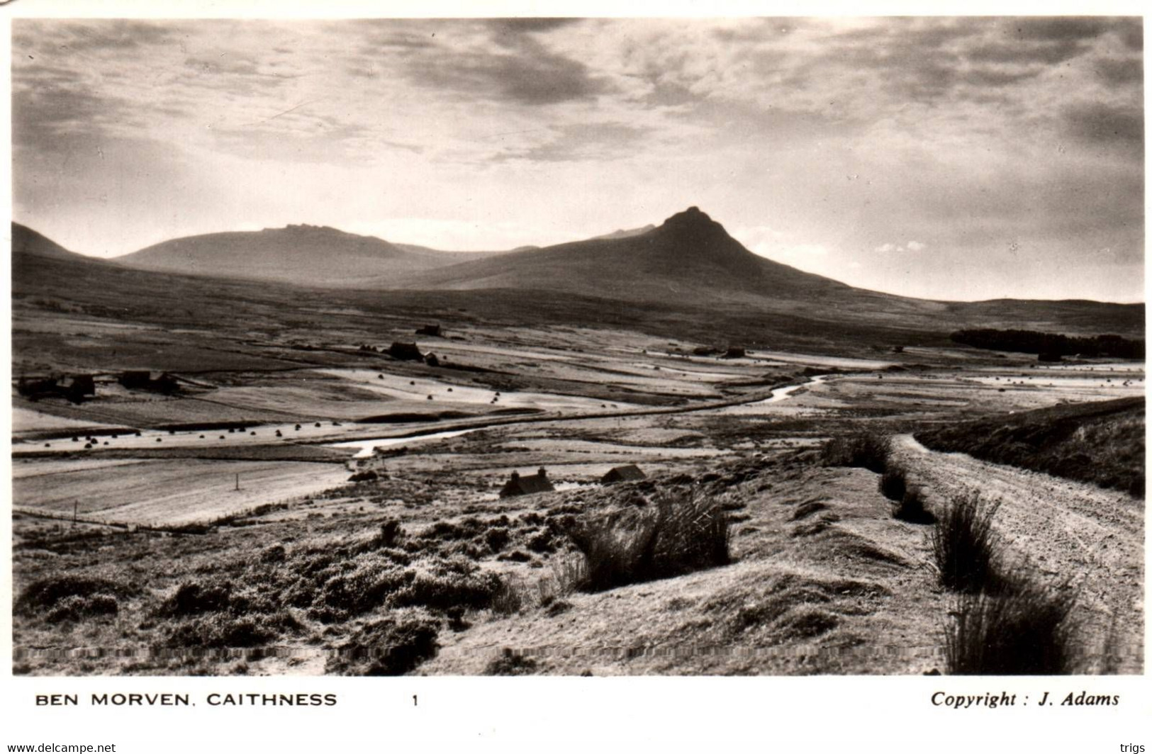 Caithness - Ben Morven - Caithness