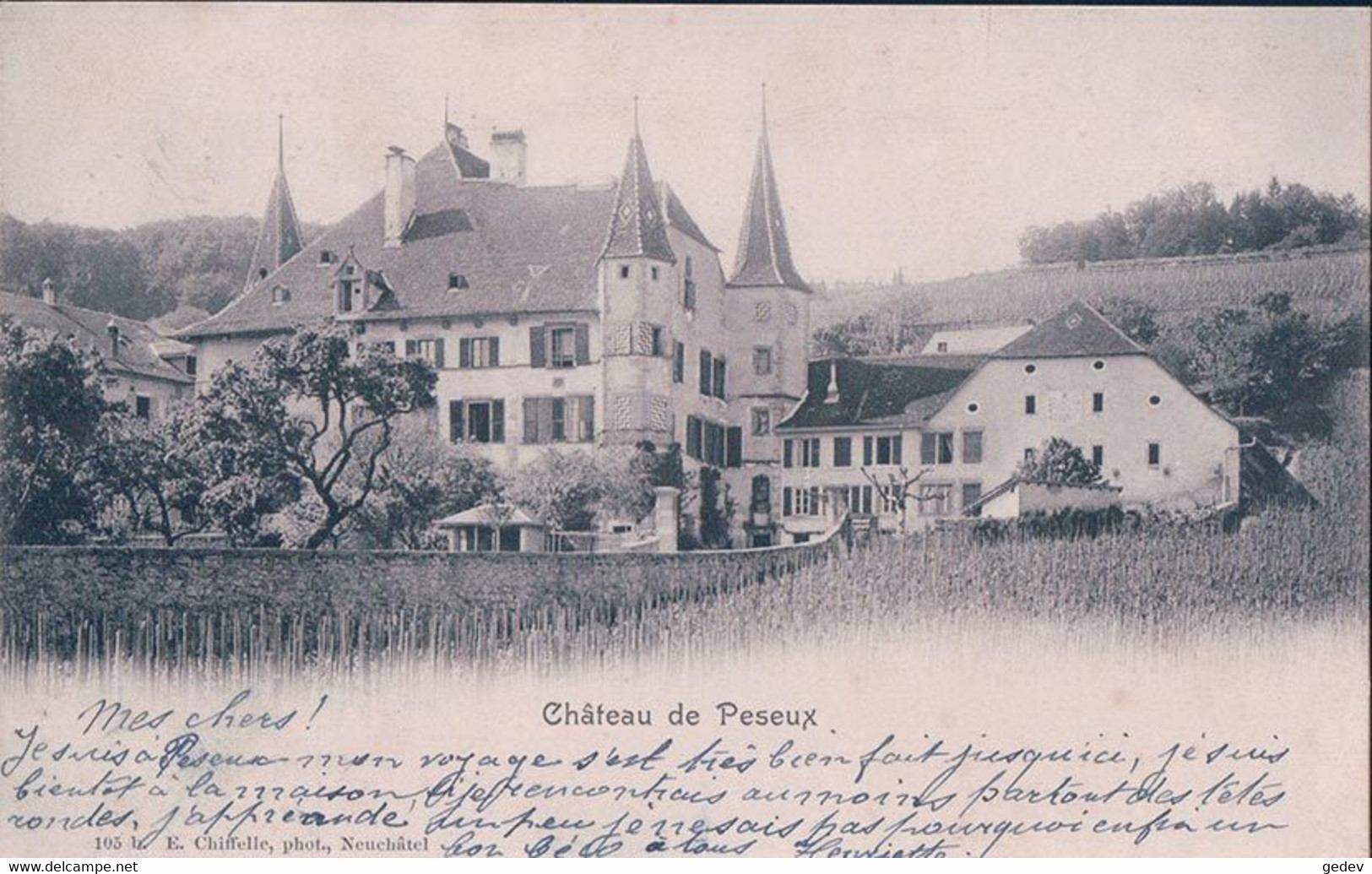 Peseux NE, Le Château Et Les Vignes (105 B) - Peseux