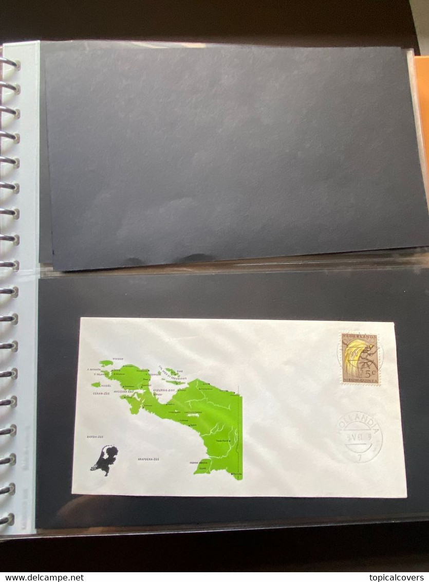 NNG / Nederlands Nieuw Guinea stempel verzameling van 113 landkaart poststukken - 2 albums / 74 scans