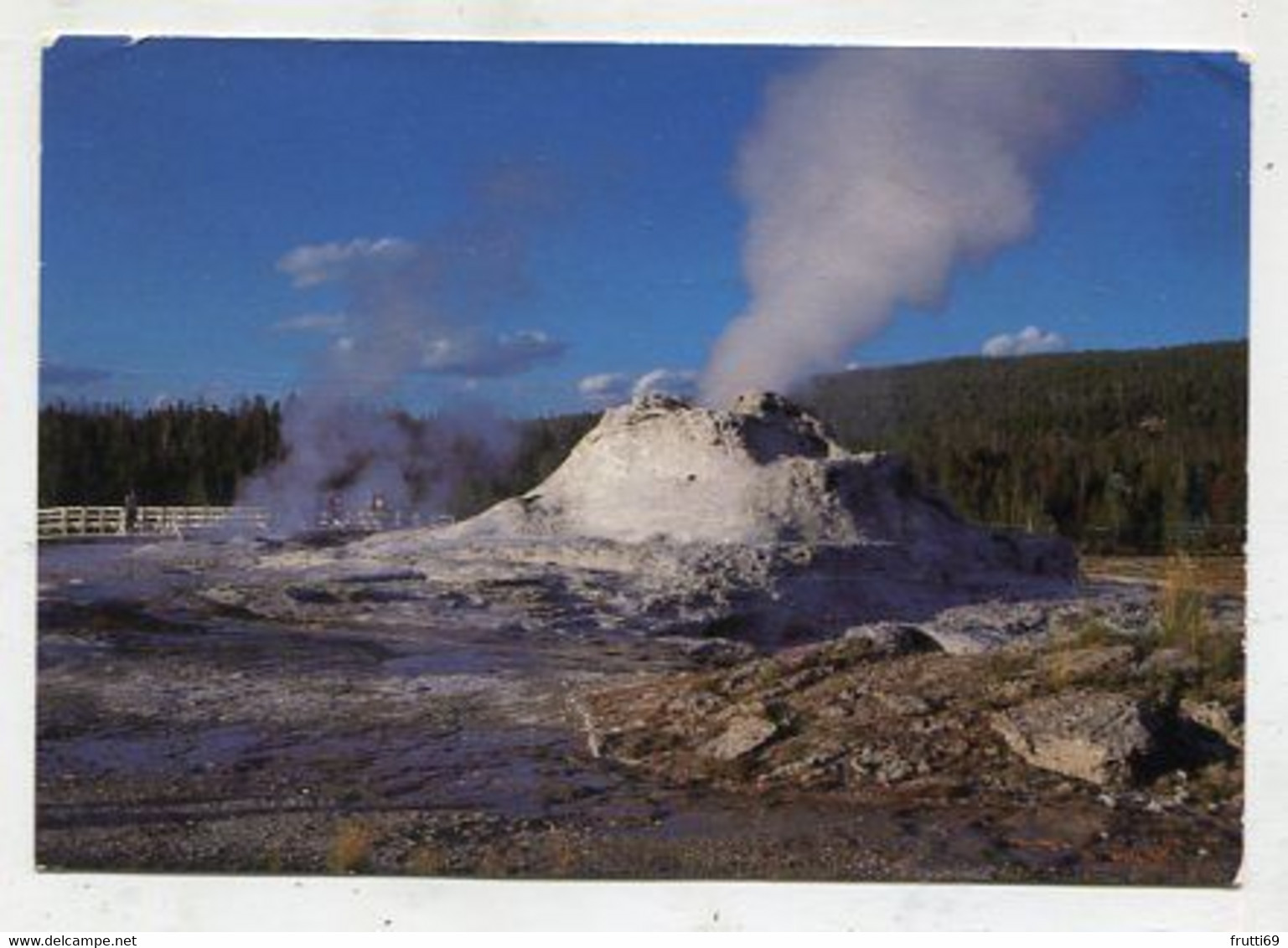 AK 057459 USA - Wyoming - Yellowstone National Park - Castle Geyser - Yellowstone