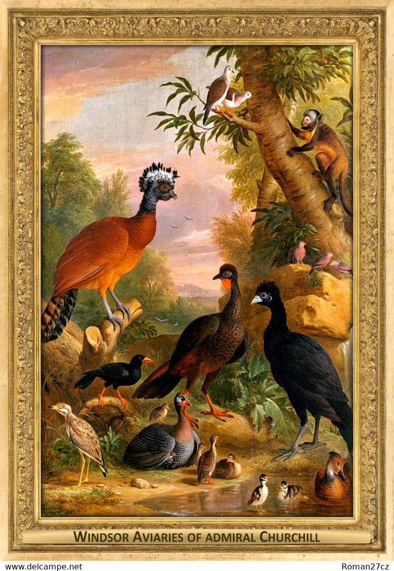 M052 Zoo - Windsor Aviaries Of Admiral Churchill, UK - Jacob Bogdany, 1708 - 1710, Curassow, Monkey, Pigeon, Waterfowl - Windsor
