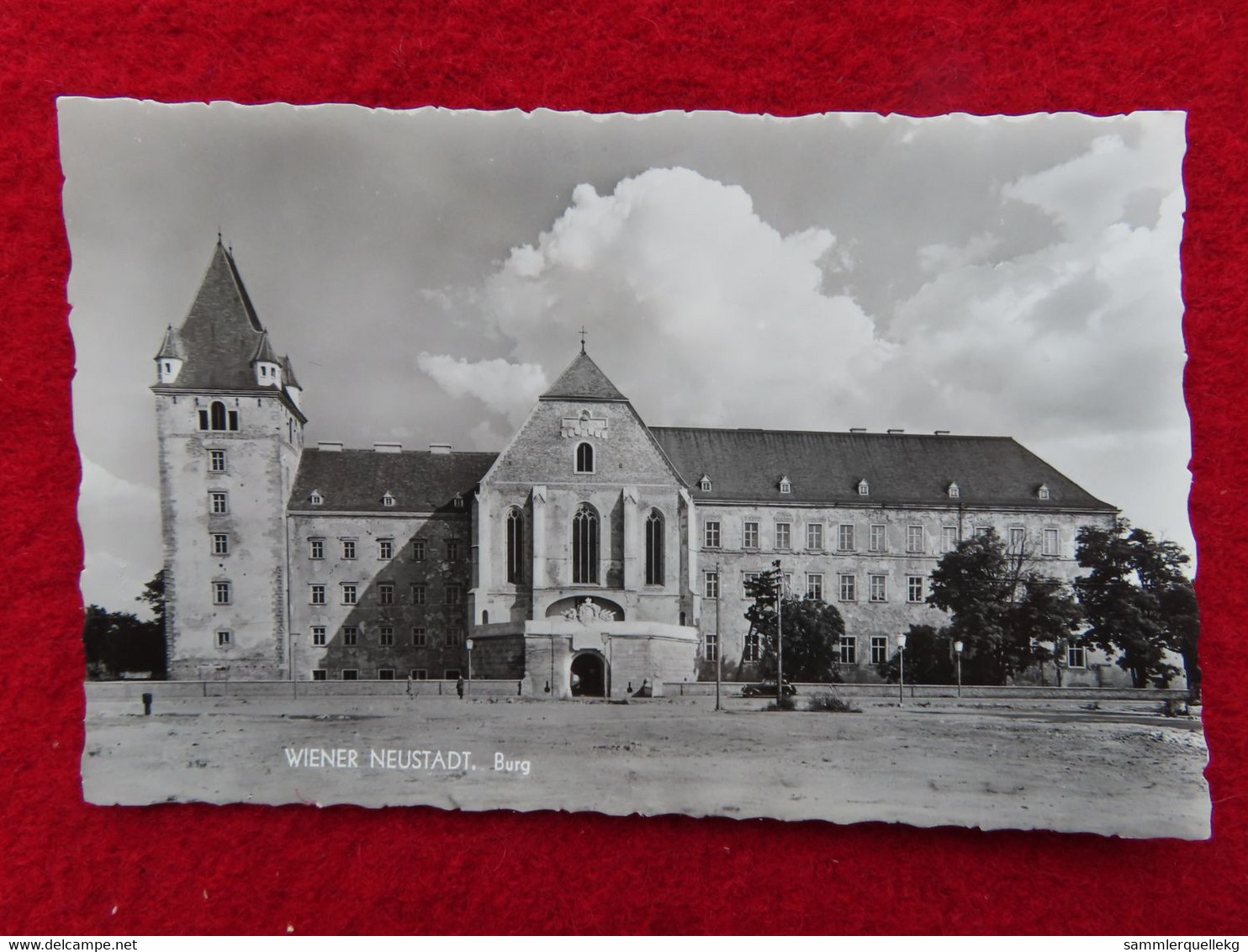 AK: Echtfoto - Wiener Neustadt, Burg, Ungelaufen (Nr.3728) - Wiener Neustadt