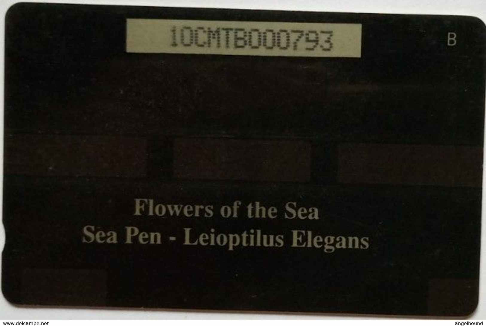 Montserrat Cable And Wireless EC$10 10CMTB " Flowers Of The Sea - Sea Pen " - Montserrat