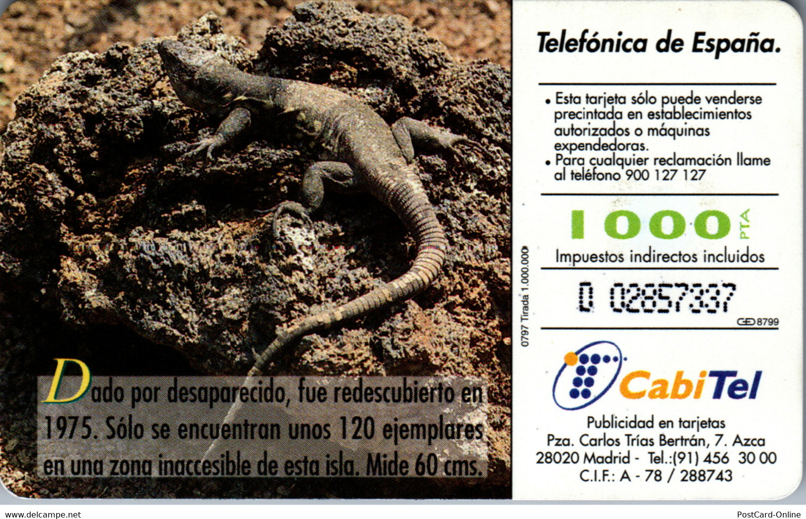 16298 - Spanien - Fauna Iberica , Lagarto Gigante De El Hierro - Sonstige & Ohne Zuordnung