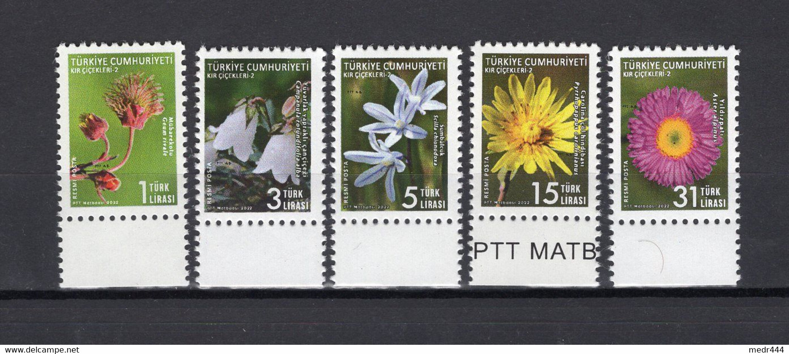 Turkey/Turquie 2022 - Wild Flowers - Official Stamps - Stamps 5v - Complete Set - + Flyer - MNH*** - Superb*** - Storia Postale