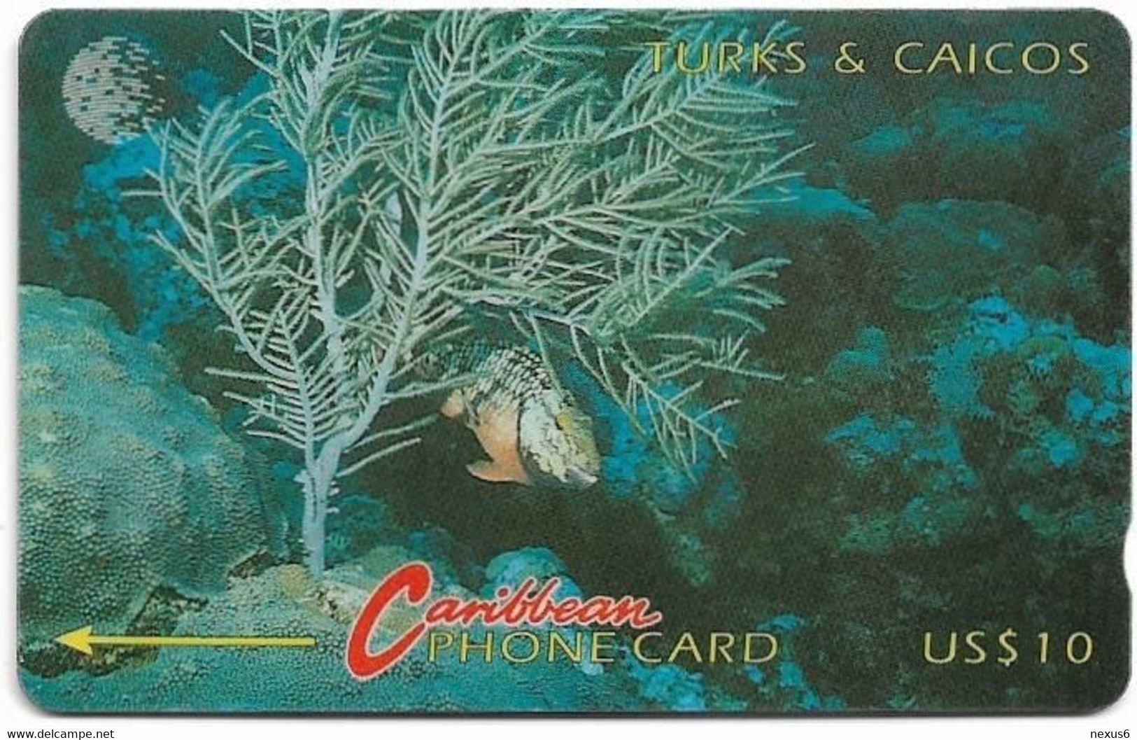 Turks & Caicos - C&W (GPT) - Redband Parrot Fish - 6CTCA - 1994, 10$, 20.000ex, Used - Turks And Caicos Islands