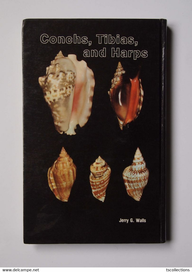 Conchs, Tibias, And Harps - Vie Sauvage