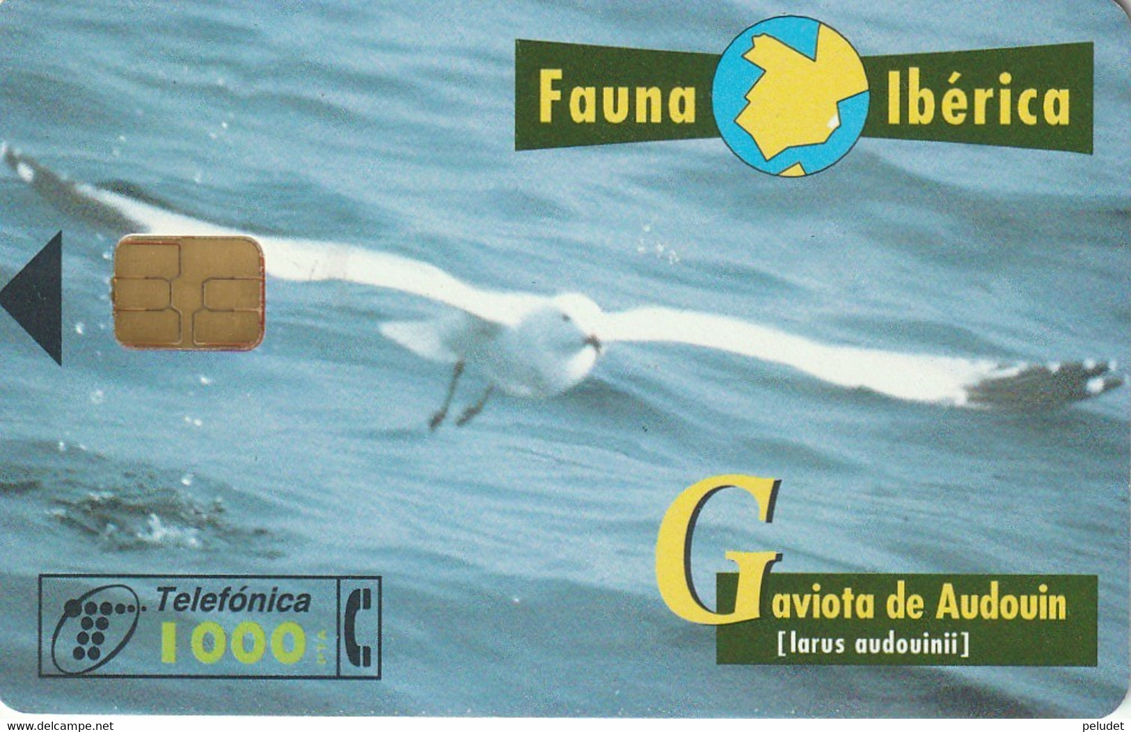 Spain, Espagne, Telefonica Fauna Iberica Gaviota De Audouin - Other & Unclassified