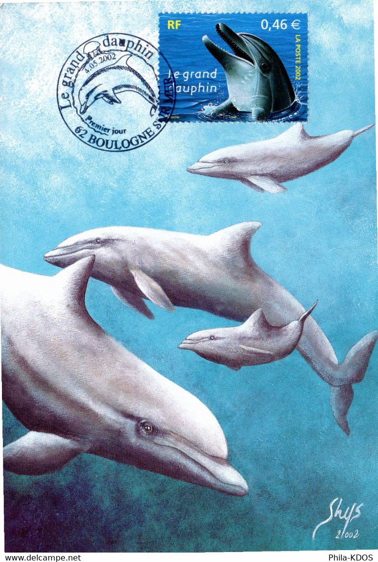 " LE GRAND DAUPHIN " Sur Carte Maximum De 2002. N° YT 3486. Parfait état CM - Delfines