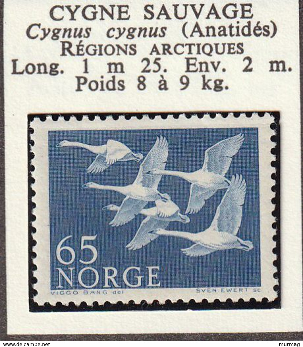 NORVEGE - Faune, Cygne Sauvage - 1956 - MH-oblitéré - Other & Unclassified