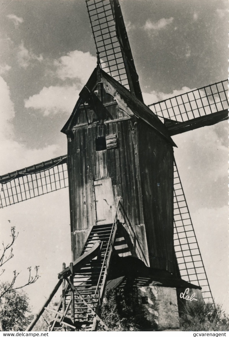 SINT MARTENS LATEM  OUDE WINDMOLEN  FOTOKAART     2 SCANS - Sint-Martens-Latem