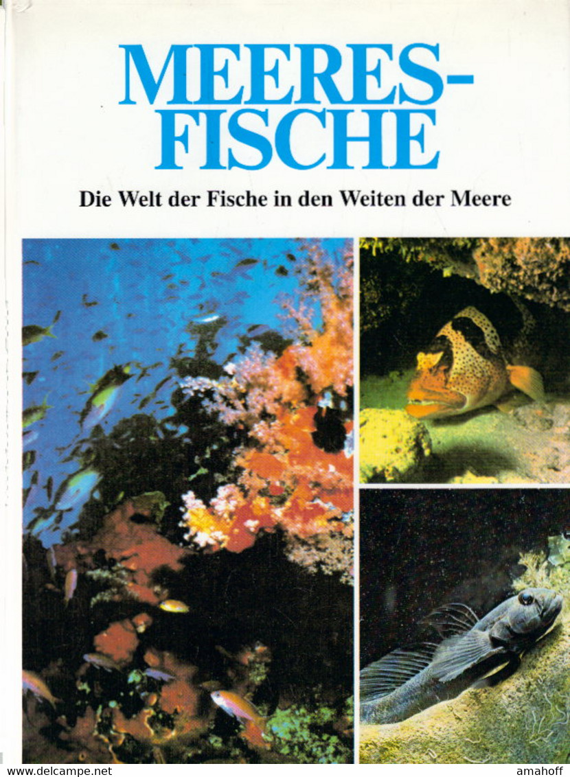 Meeresfische. Die Welt Der Fische In Den Weiten Der Meere - Botanik